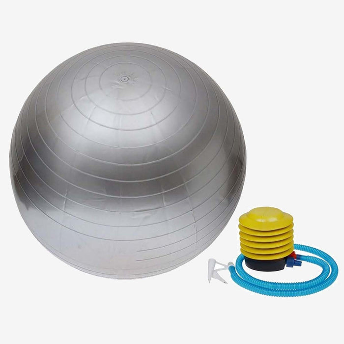 Desire Gym Gym Ball 65cm Silver